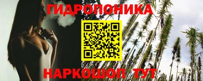 крисы Лесосибирск