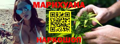 крисы Лесосибирск