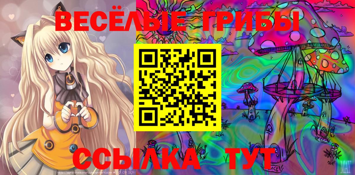 Избербаш  Галлюциногенные грибы мицелий  Вход с VPN 