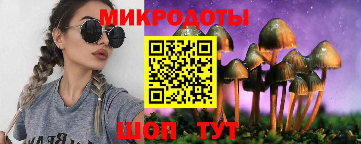 Галлюциногенные грибы Psilocybine cubensis Избербаш